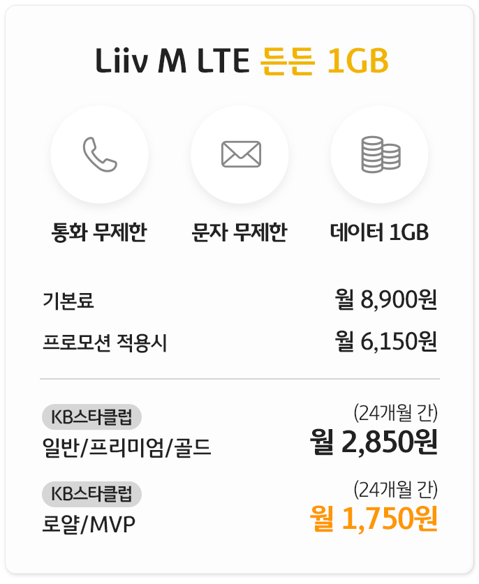 Liiv M LTE 든든 1GB