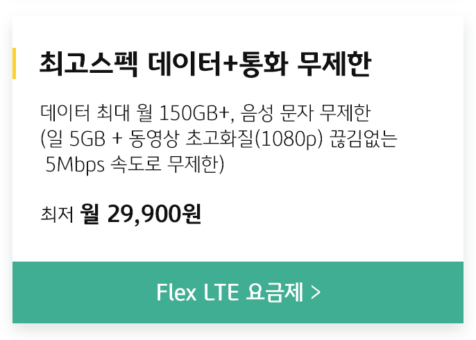 FLEX LTE 요금제