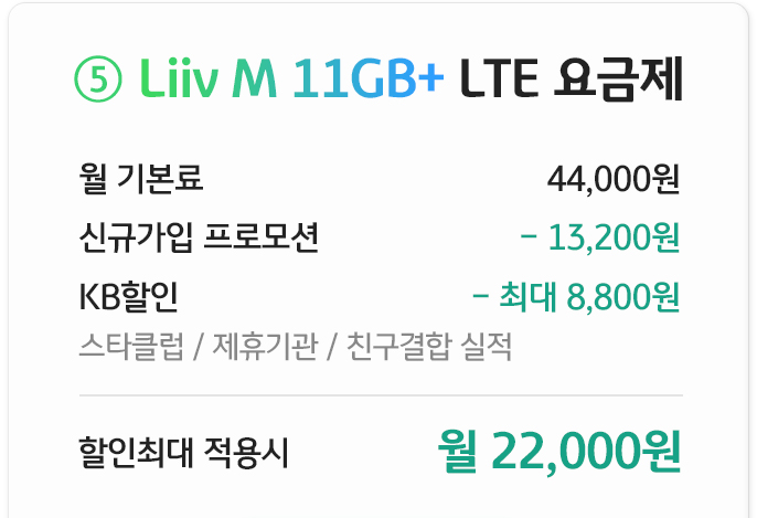 Liiv M 11GB+ LTE 요금제