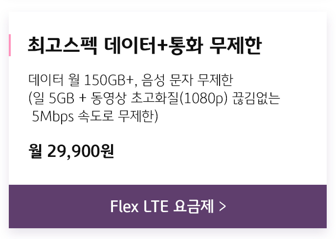 FLEX LTE 요금제