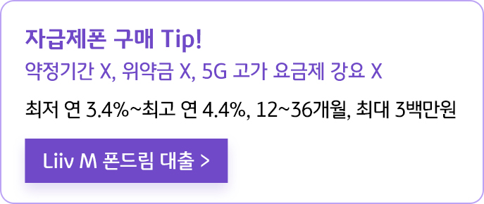 폰드림대출