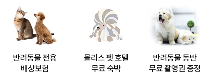 U+ 스마트폰 펫케어 패키지 구성 이미지